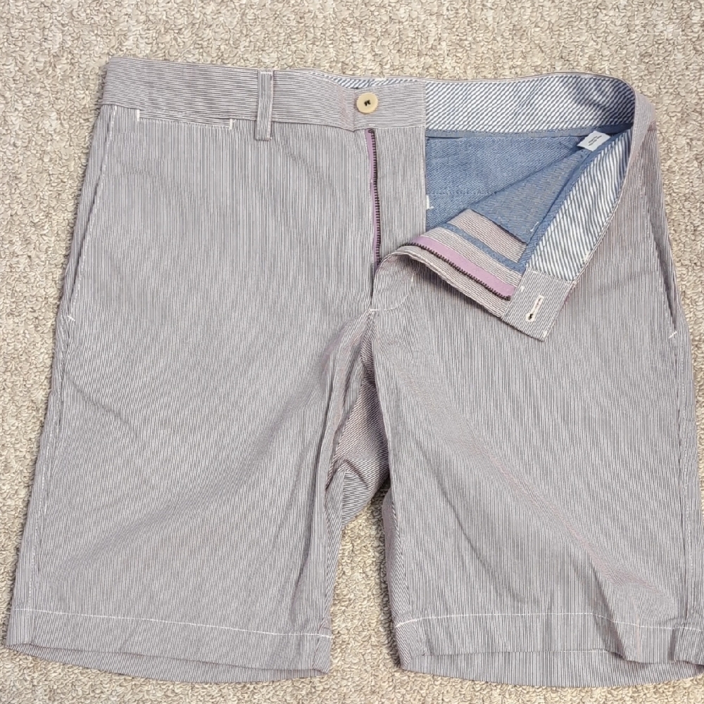 Banana Republic Blue and White Aiden Shorts